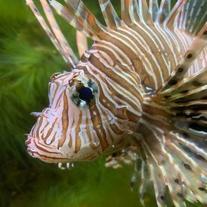 Meet your Posher, Makenna